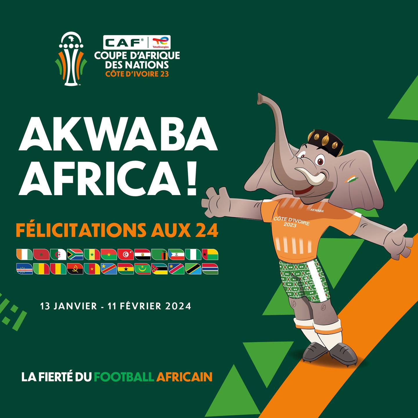 Coupe d’Afrique des Nations